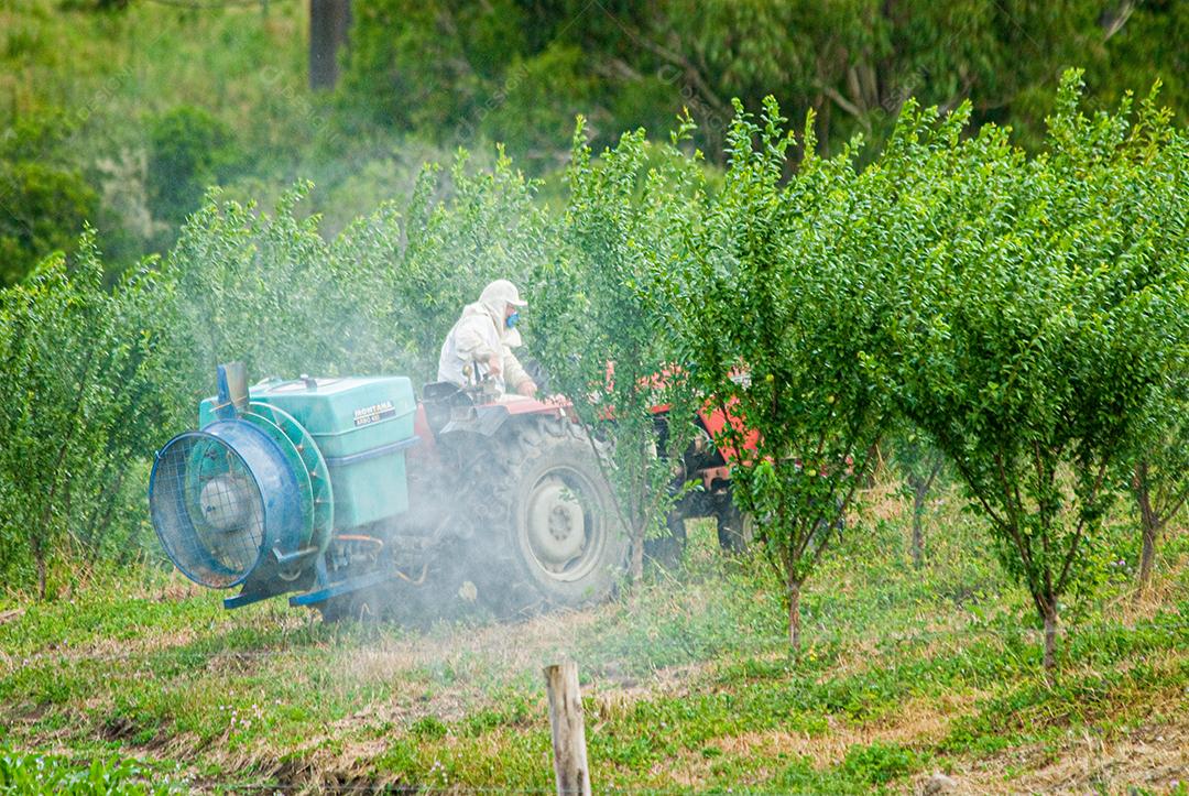 Agricultor batendo veneno em seu plantio plantação