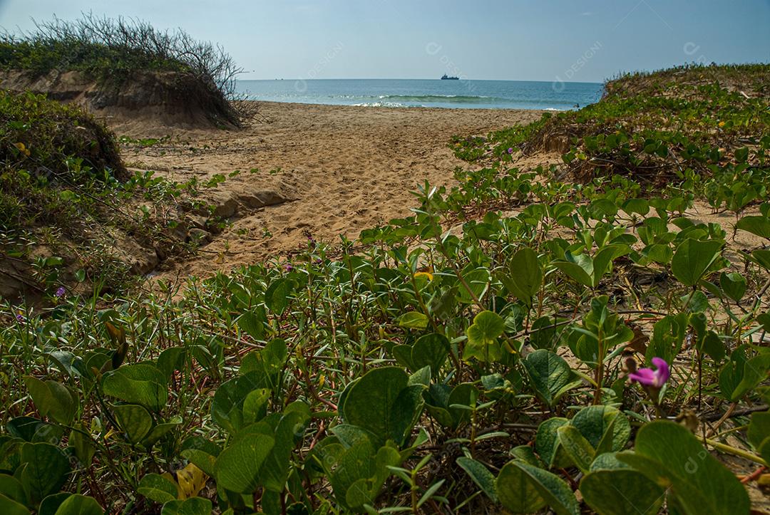 PRAIA BRAVA , ITAJAÍ , SC