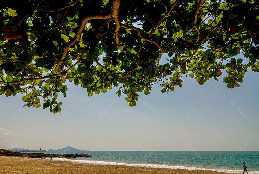 PRAIA DE CABEÇUDAS, ITAJAÍ, SC