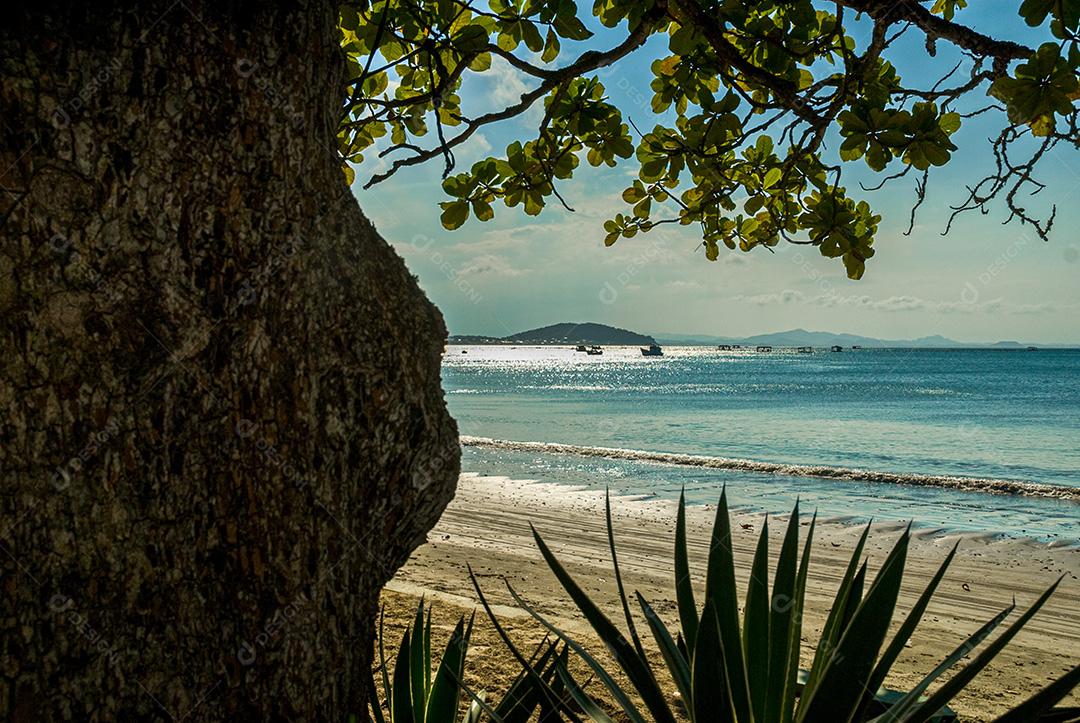 Praia do Manguinho, Balneário da Penha, Penha, SC