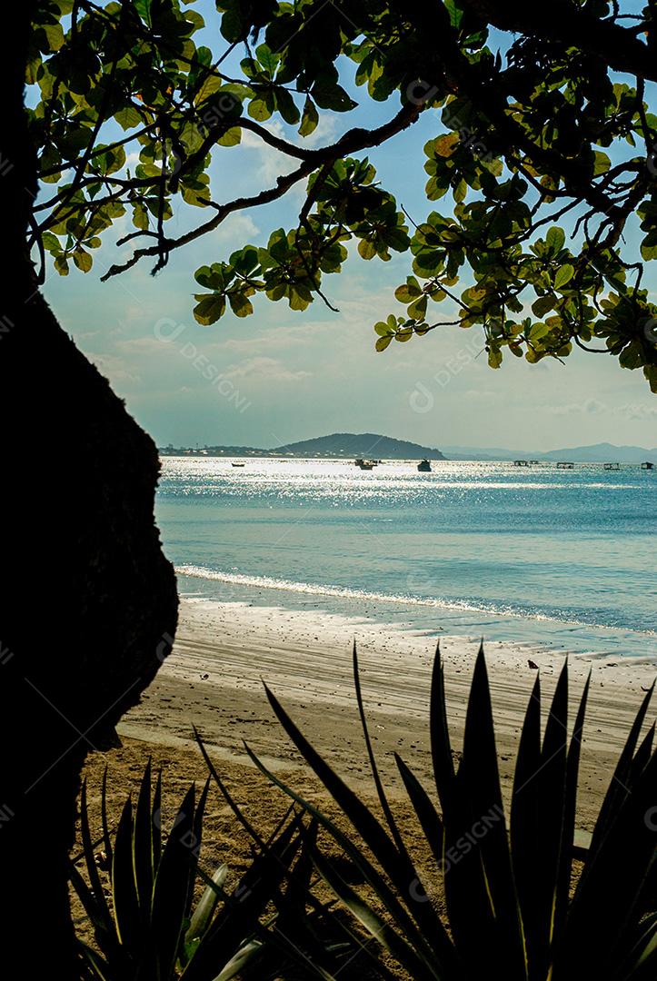 Praia do Manguinho, Balneário da Penha, Penha, SC