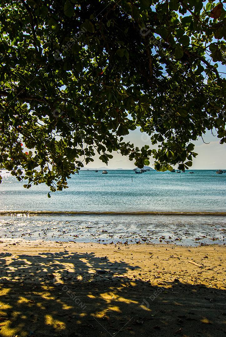 Praia do Manguinho, Balneário da Penha, Penha, SC