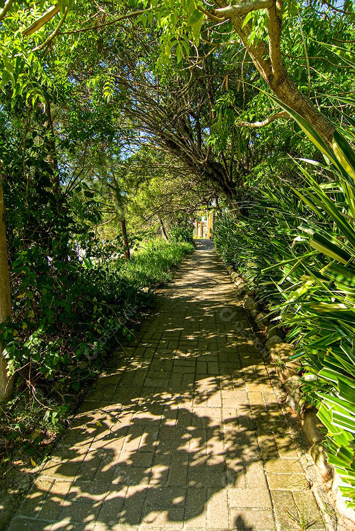 Praia do Manguinho, Balneário da Penha, Penha, SC