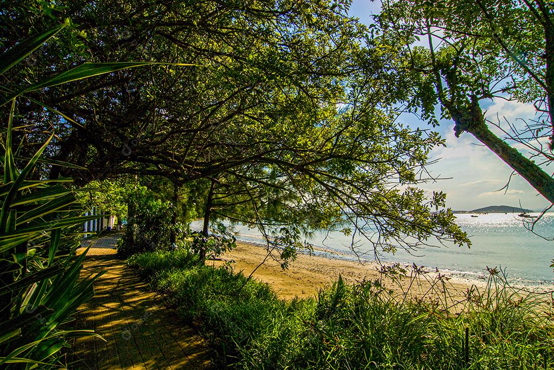 Praia do Manguinho, Balneário da Penha, Penha, SC