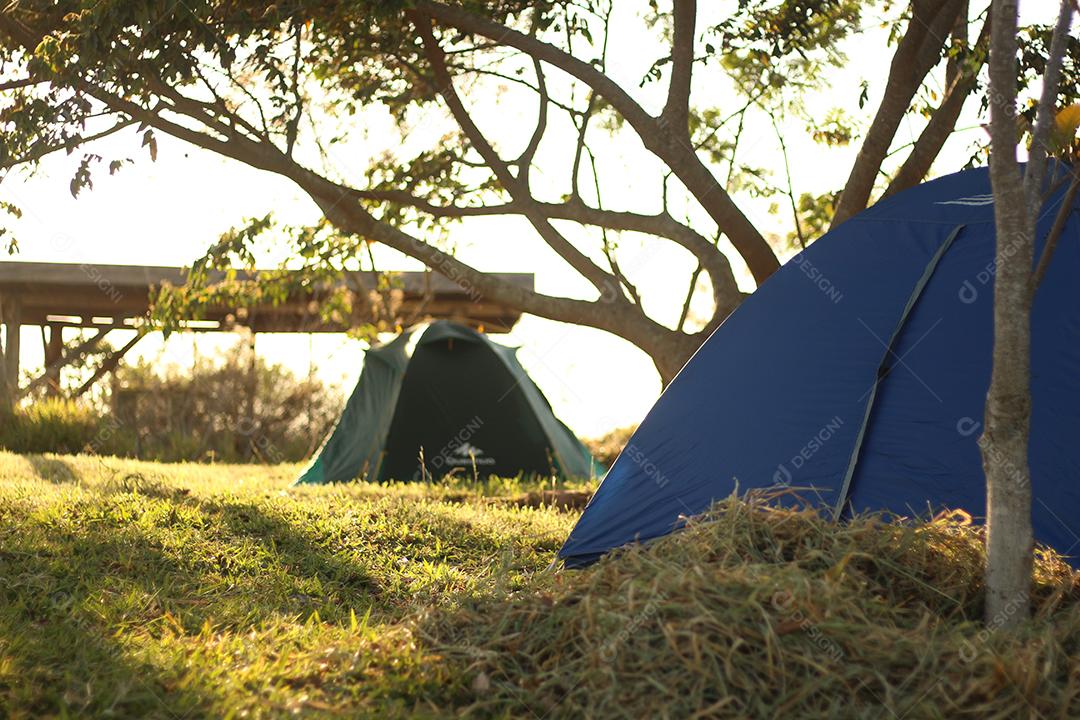 Barracas sobre floresta acampamento