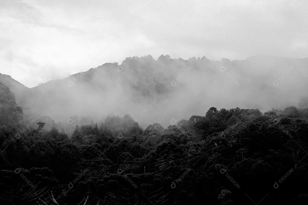 Paisagem montanhas penhasco neblina