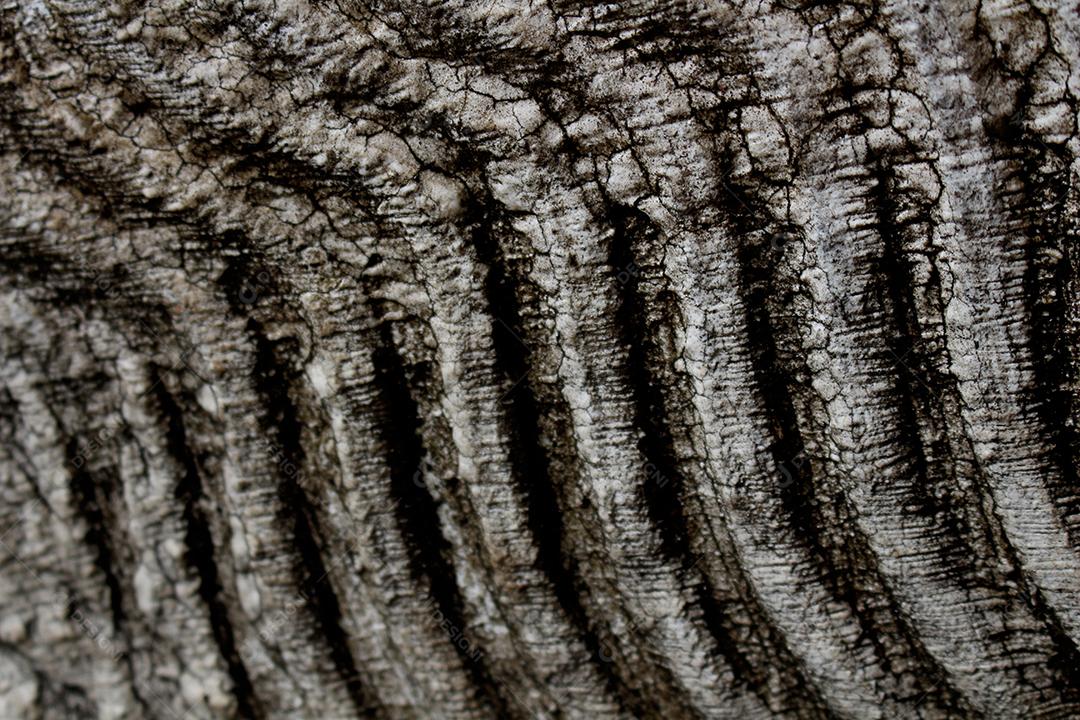 antigo muro de concreto