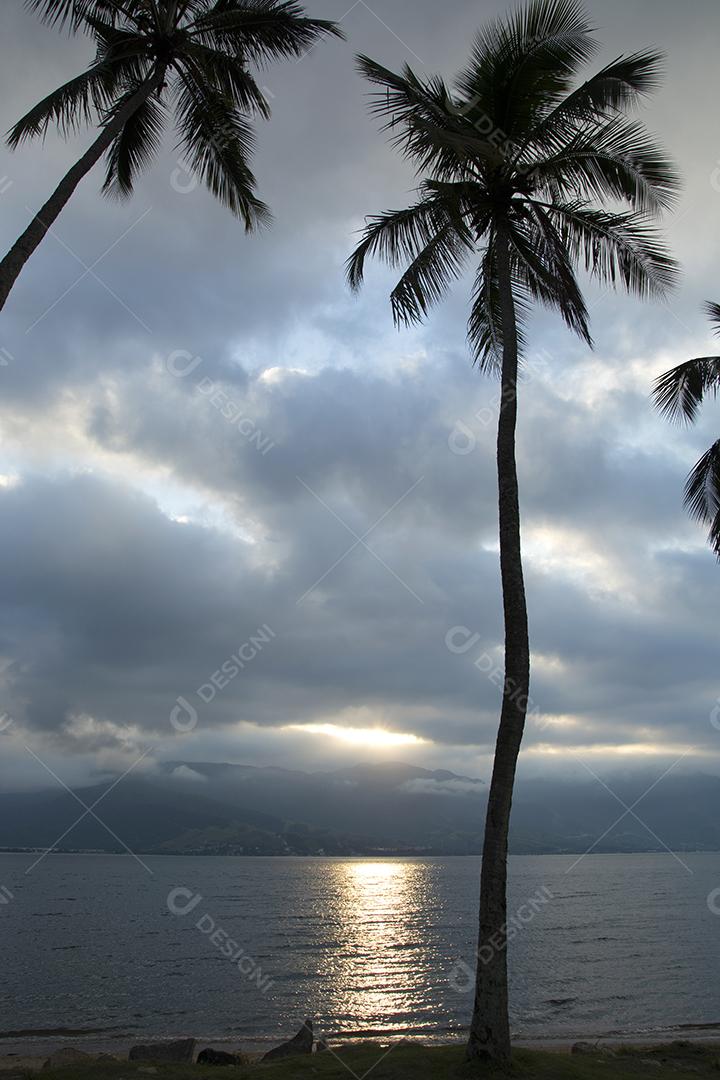 Silhueta de árvores e mar dourado ao pôr do sol na ilha de Ilhabela, Brasil.