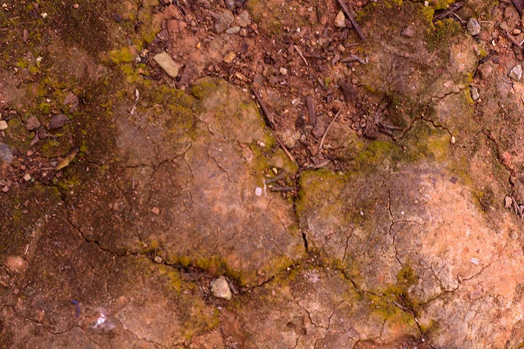 fundo de piso marrom e amarelo sujo