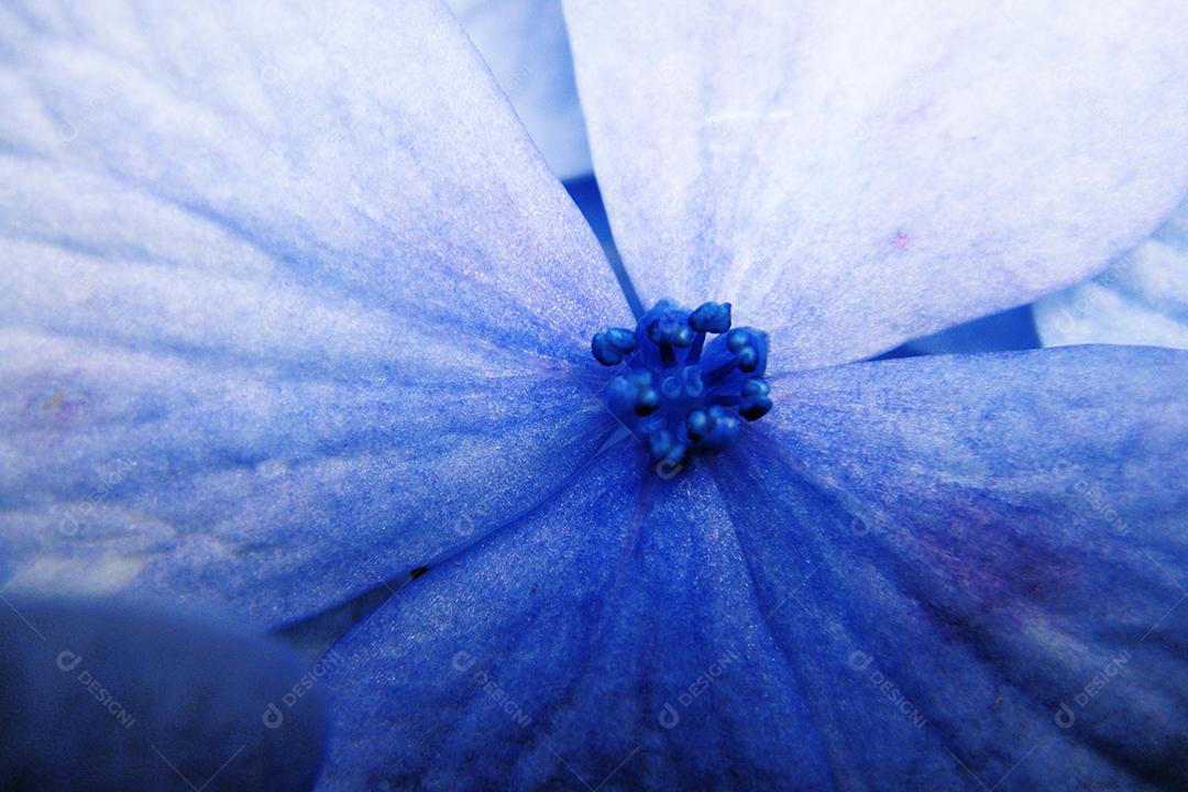 Flores plantas sobre fundo desfocado