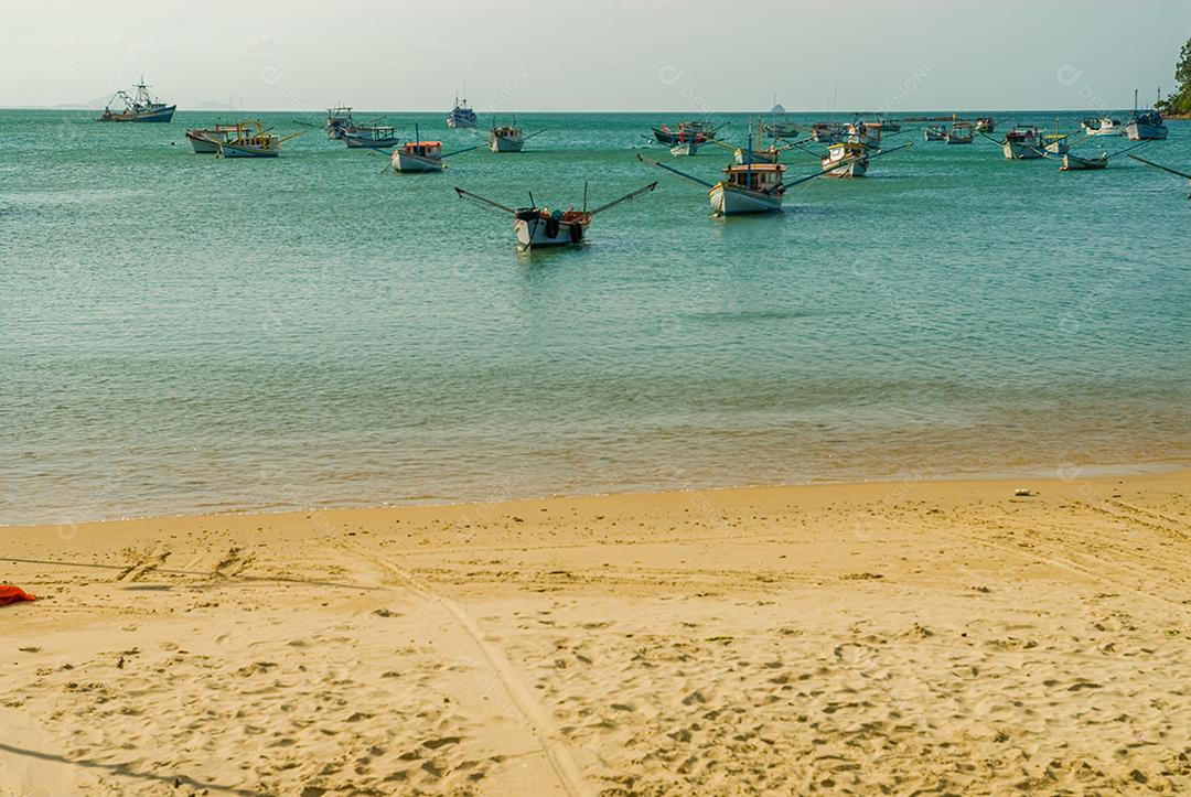 PRAIA DO TRAPICHE, PENHA, SANTA CATARINA, SC, BRASIL