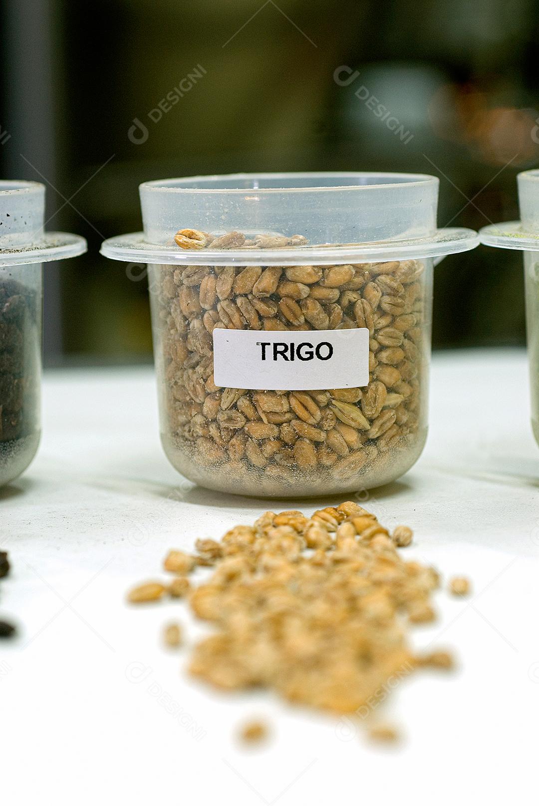 Frasco com Semente de Trigo