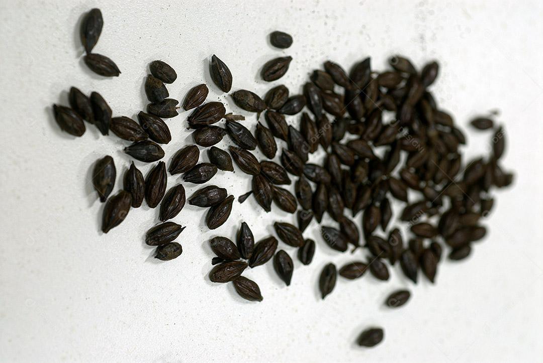 CERVEJARIA EISENBAHN, BLUMENAU, SANTA CATARINA, SC