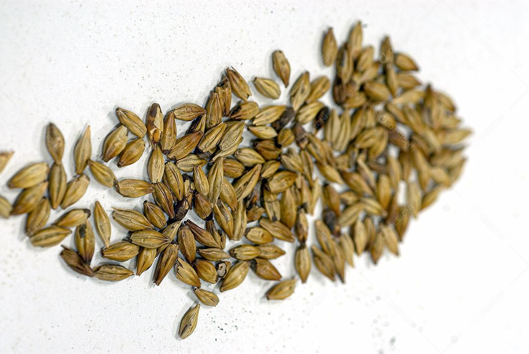 CERVEJARIA EISENBAHN, BLUMENAU, SANTA CATARINA, SC