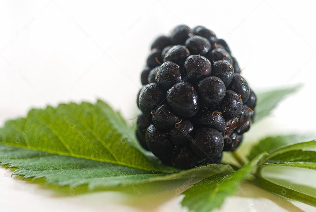 gastronomia; comida; alimento; alimentação