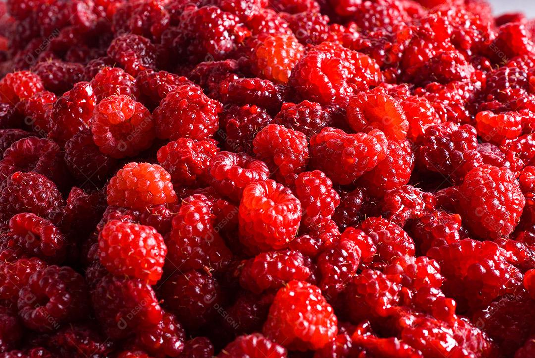 gastronomia; comida; alimento; alimentação