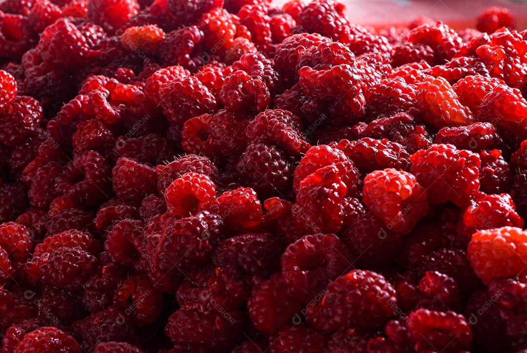 gastronomia; comida; alimento; alimentação