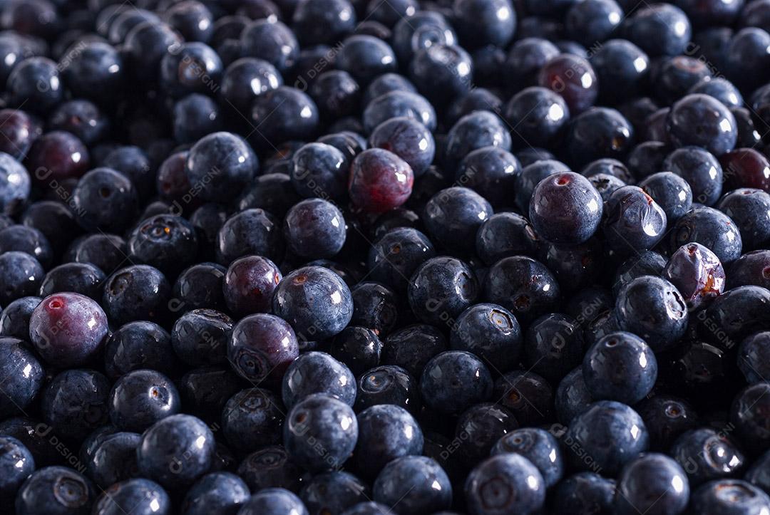 gastronomia; comida; alimento; alimentação