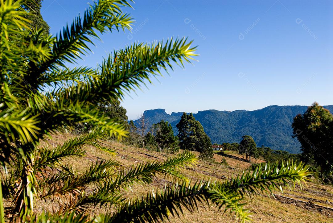 Paisagem de motanhas e campo em dia ensolarado