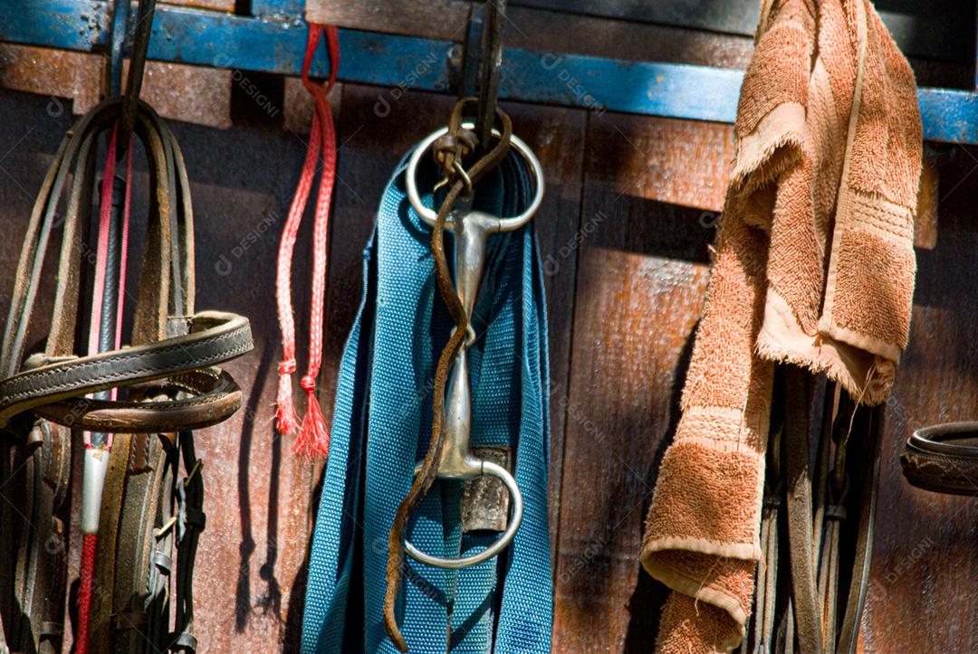 Cabeçada para cavalos