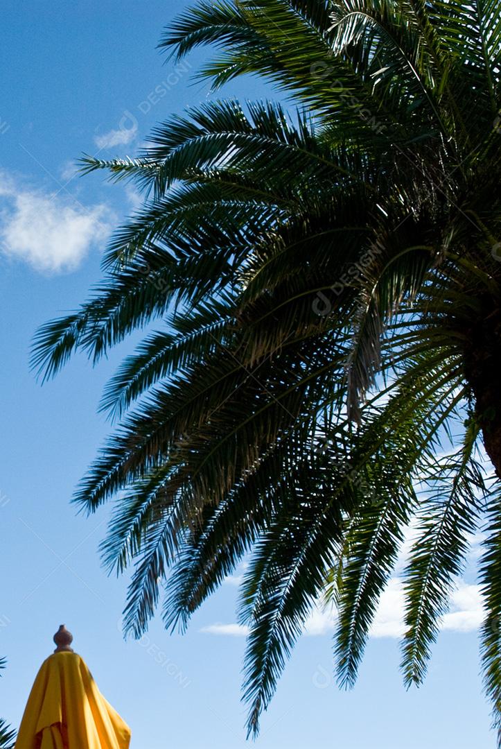 Praia do Bojuru, praia deserta, sul do estado do Rio Grande do Sul, Brasil.