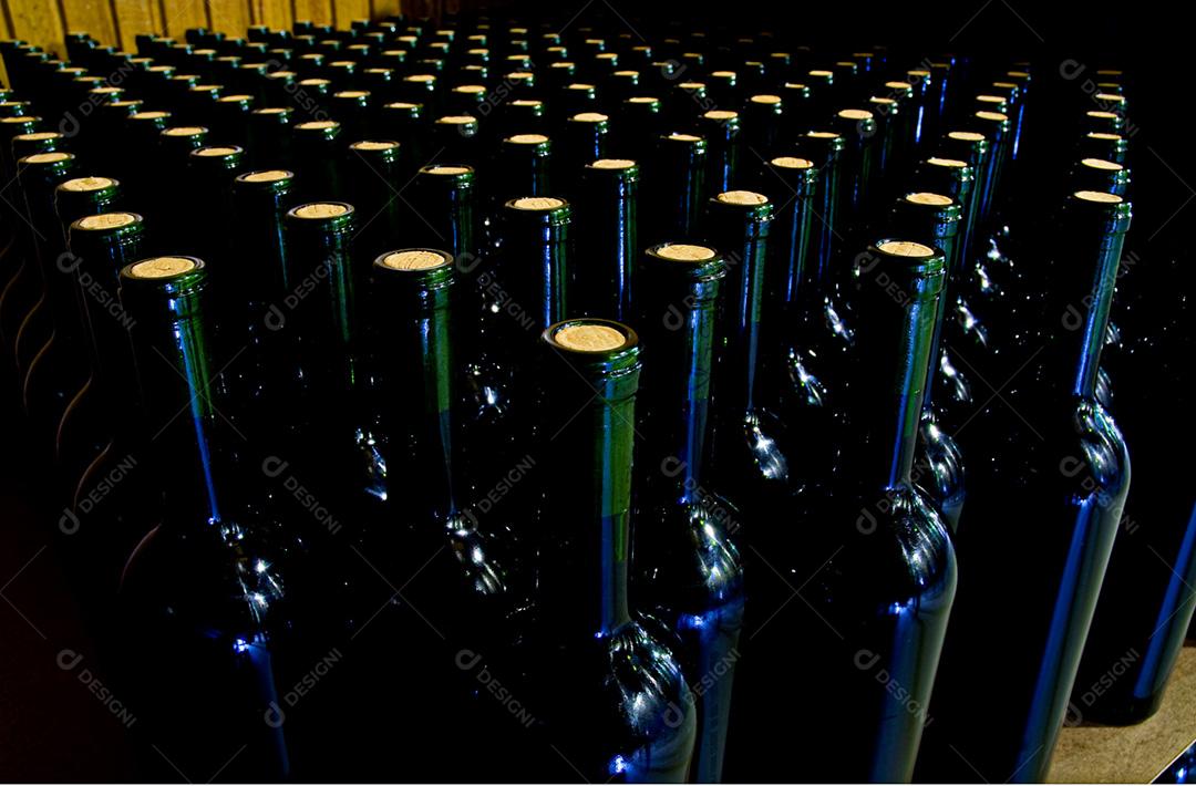 Vinhos em garrafas grandes prontos para venda