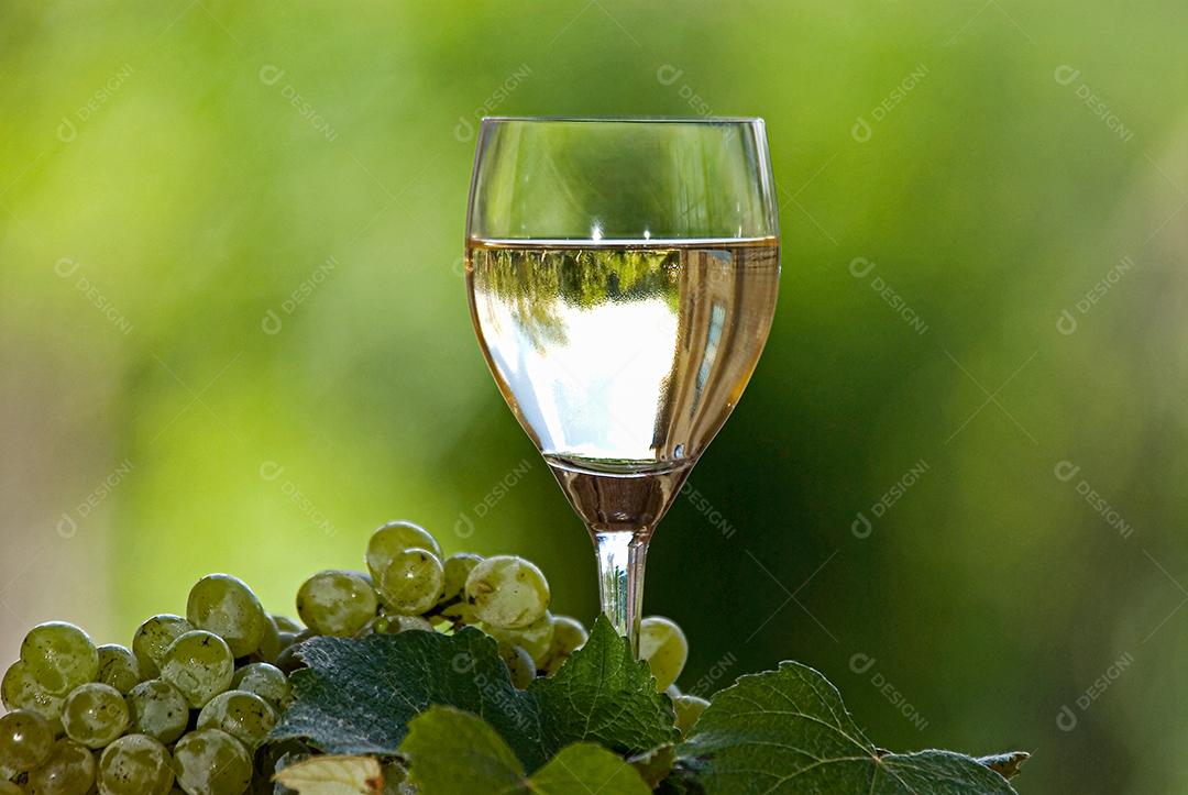 Vinho Branco com uvas verde