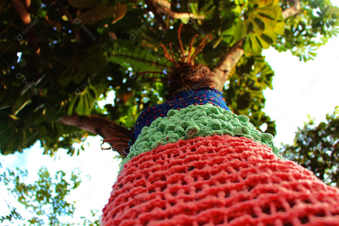Crochê sobre arvore plantas floresta