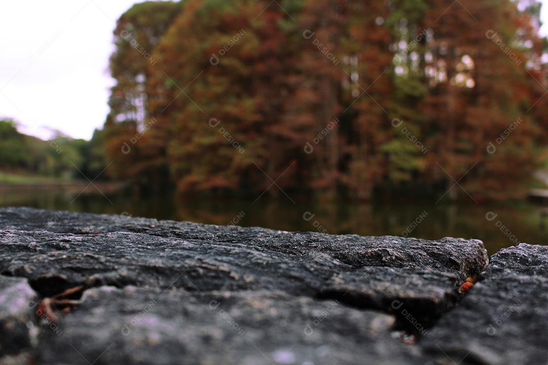 Quarry stones on a blurred forest background