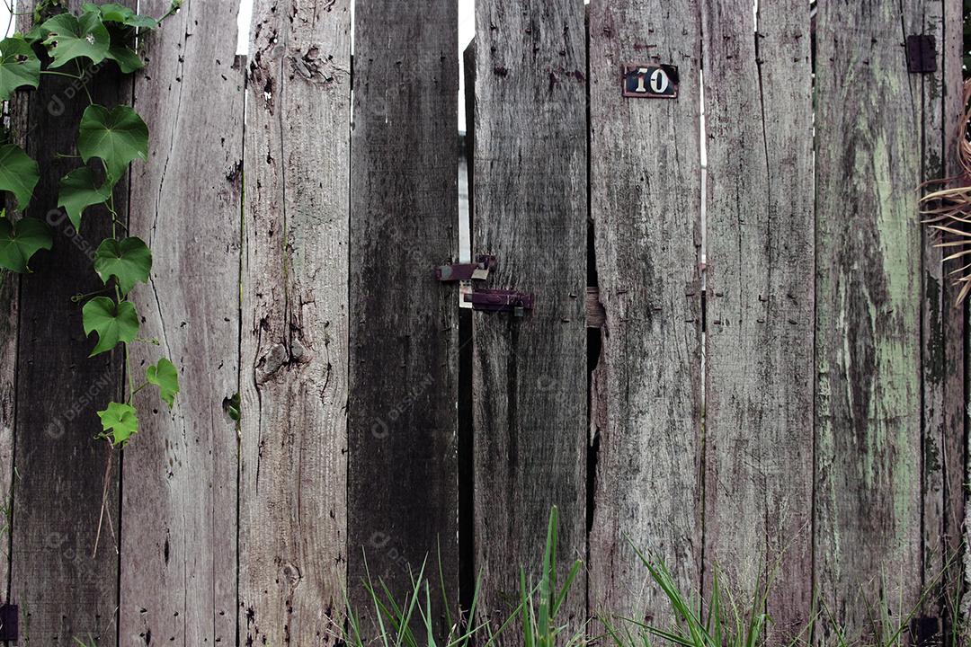 Portas de madeira fechada sobre floresta
