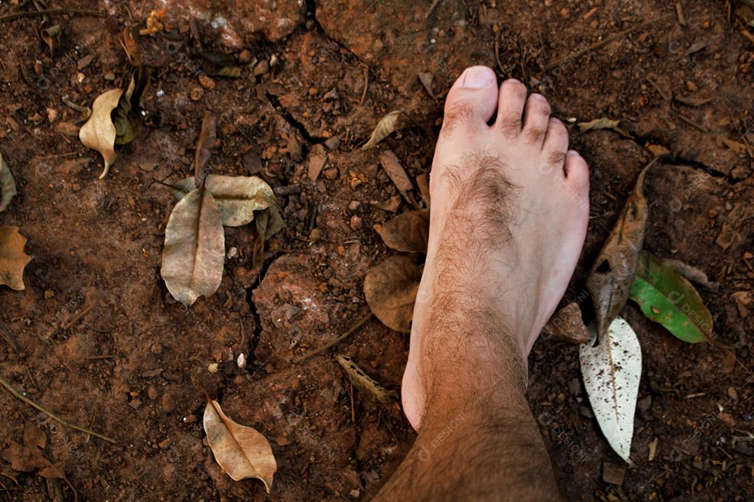 Pes de pessoas pisando terra floresta