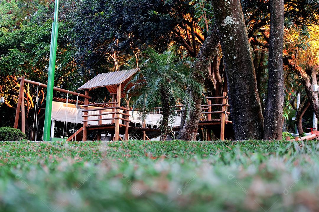 Casa no meio da floresta fazenda arvores plantas