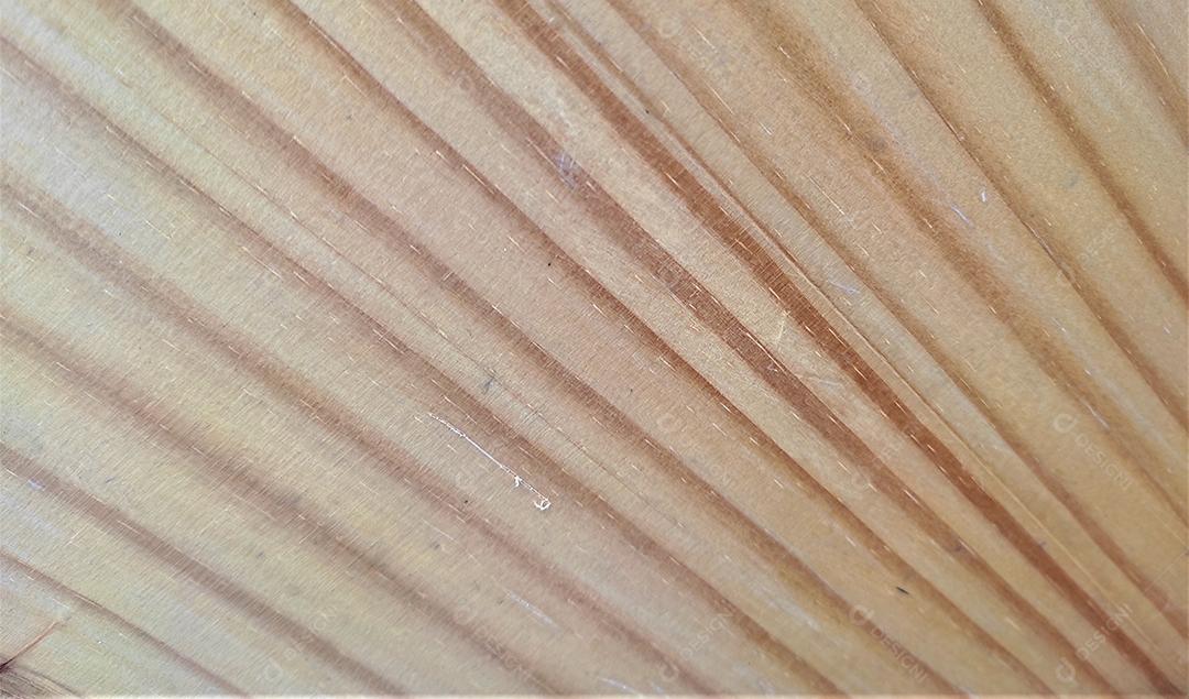 Textura telhado casa Brasilit