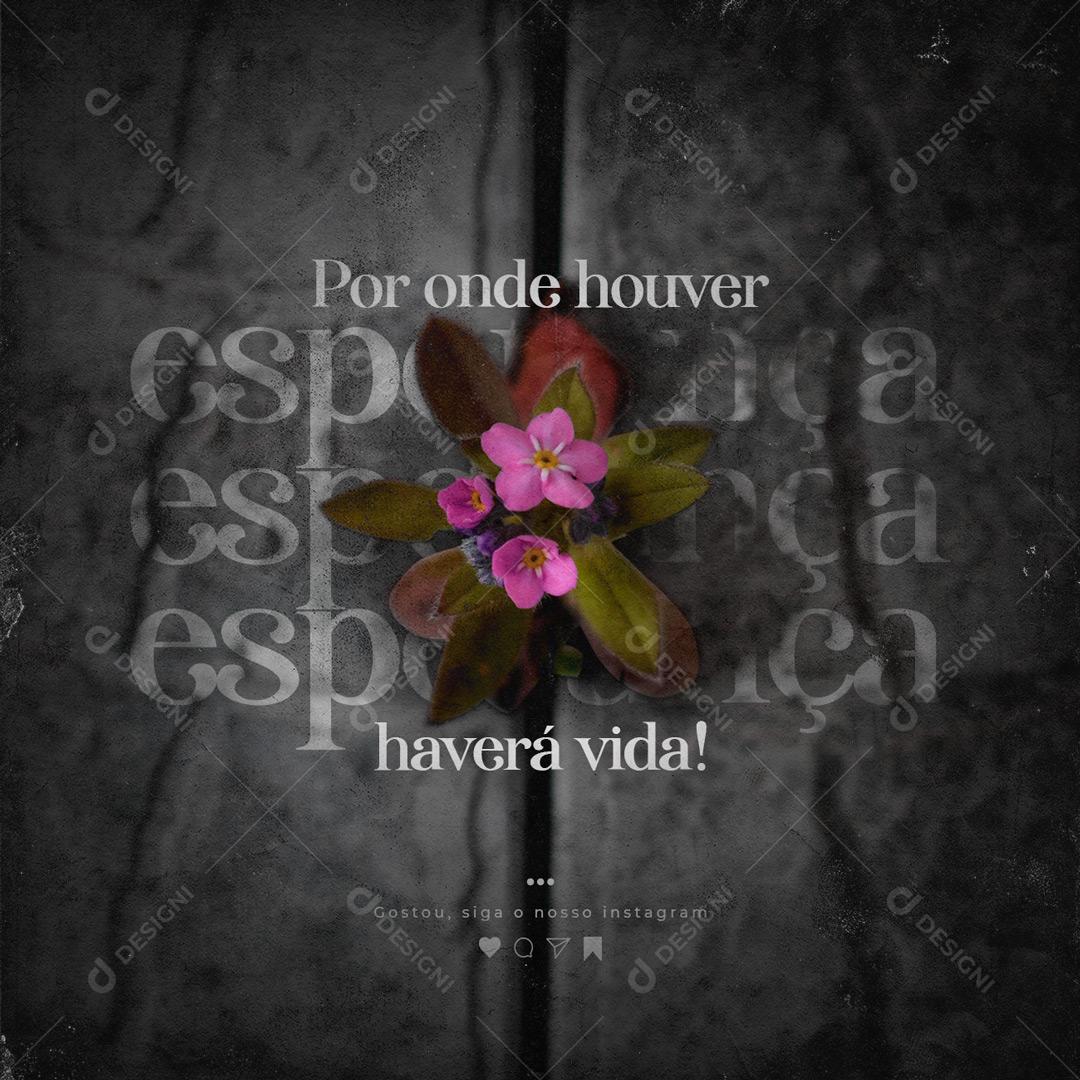 Social Media Motivacional Por Onde Houver Esperança PSD Editável