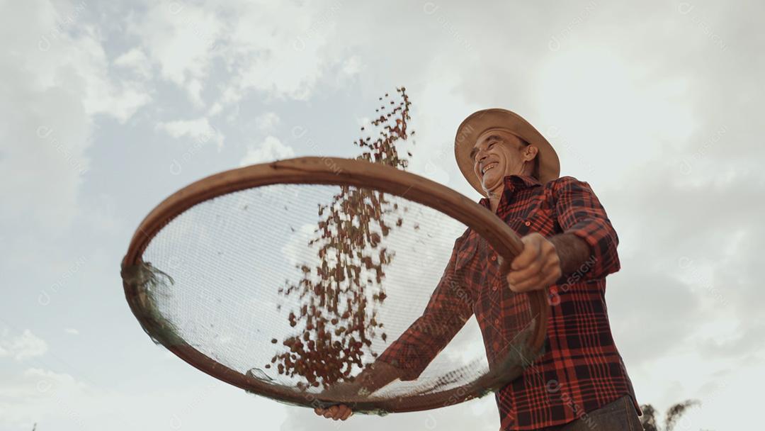 Agricultor latino trabalhando na colheita do café em um dia ensolarado no