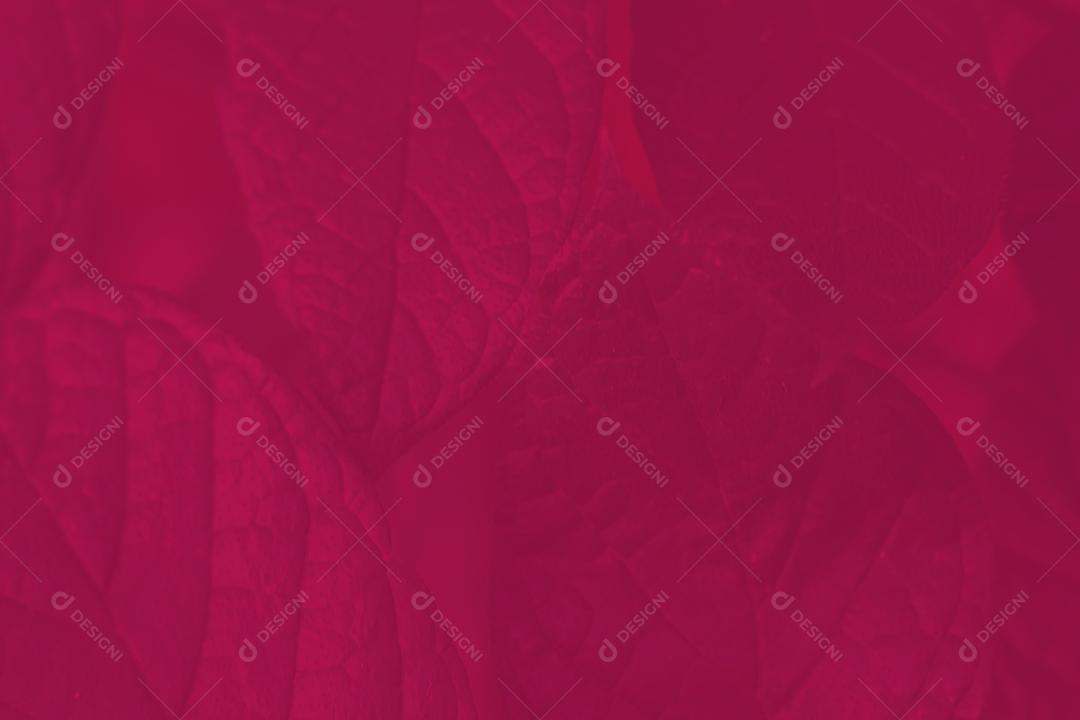 Textura vermelho com tons coloridos