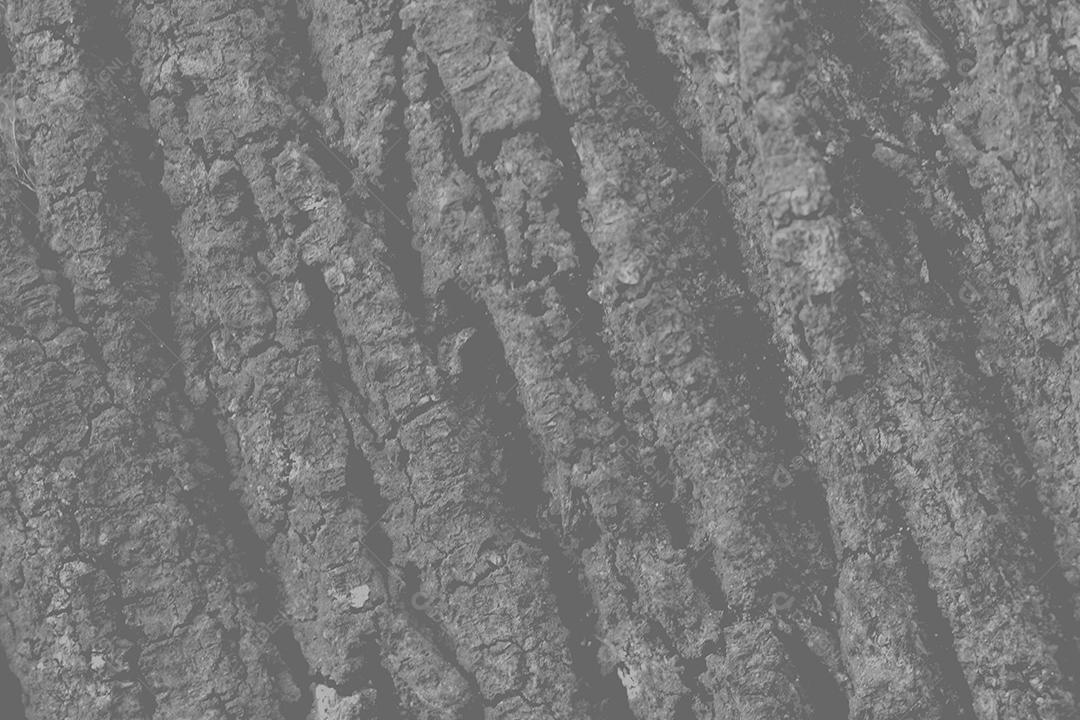 Textura pintura parede de casa