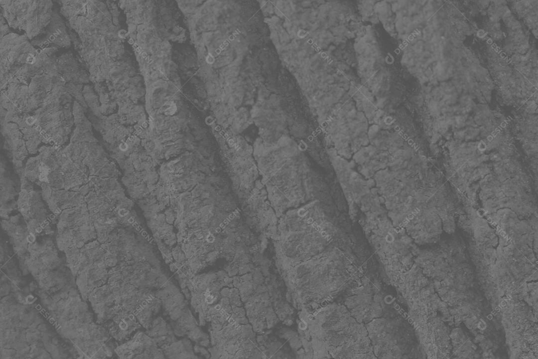 Textura pintura parede de casa