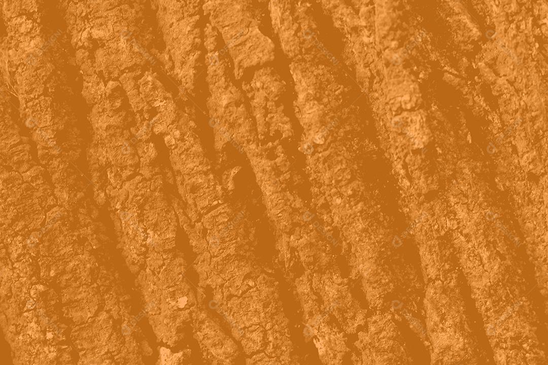 Textura pintura parede de casa