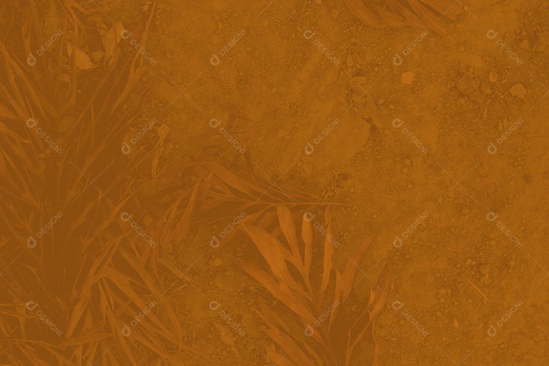 Textura de folhas de arvore floresta