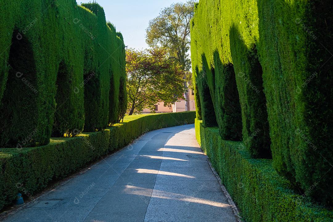 Caminho entre jardins de plantas verdes em Alhambra.