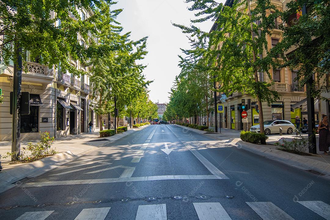 Bela vista da avenida principal da cidade de Granada Gran Vía de Colón