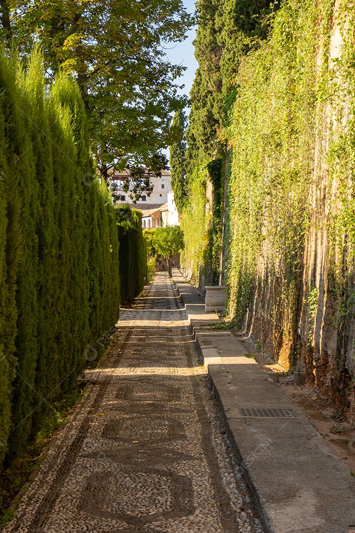 Caminho estreito de árvores verdes nos jardins da Alhambra.