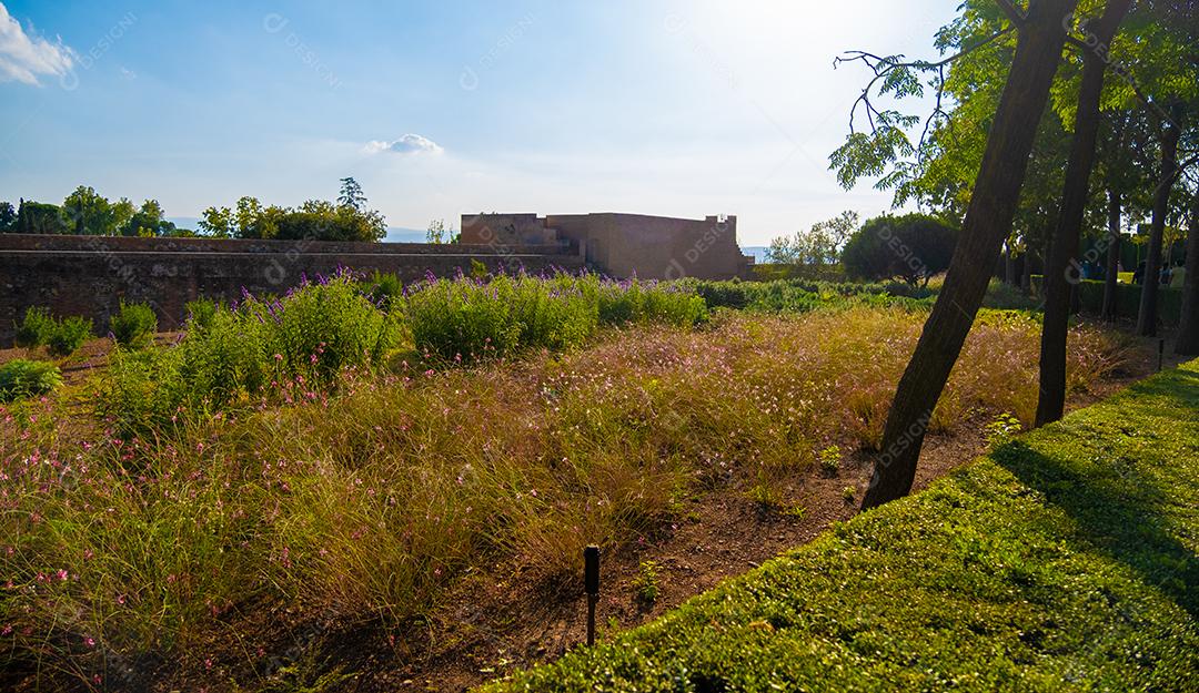 Bela vista dos jardins verdes da Alhambra.