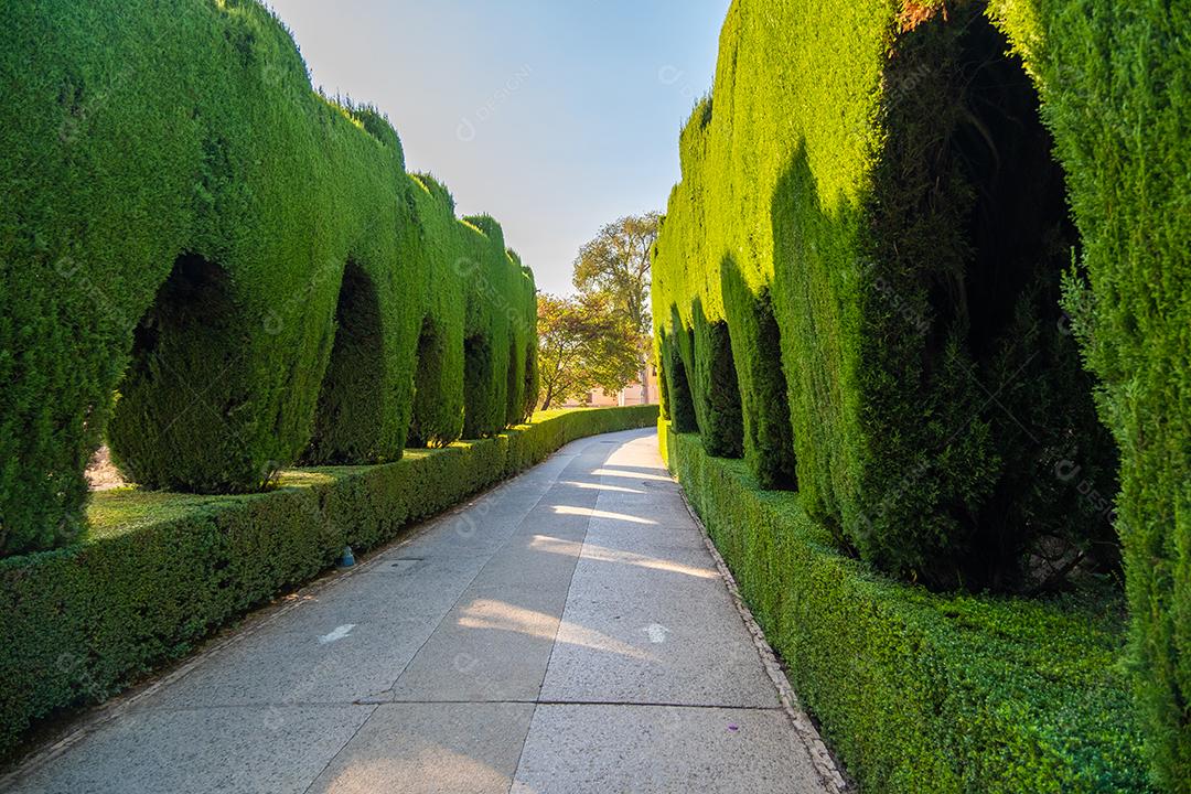 Caminho entre jardins de plantas verdes em Alhambra.