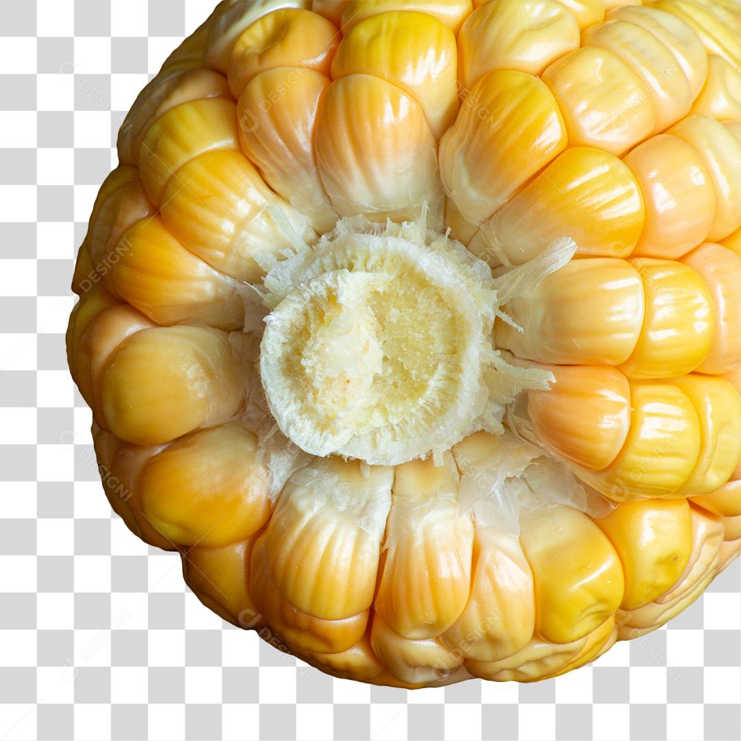 Espiga de Milho PNG Transparente