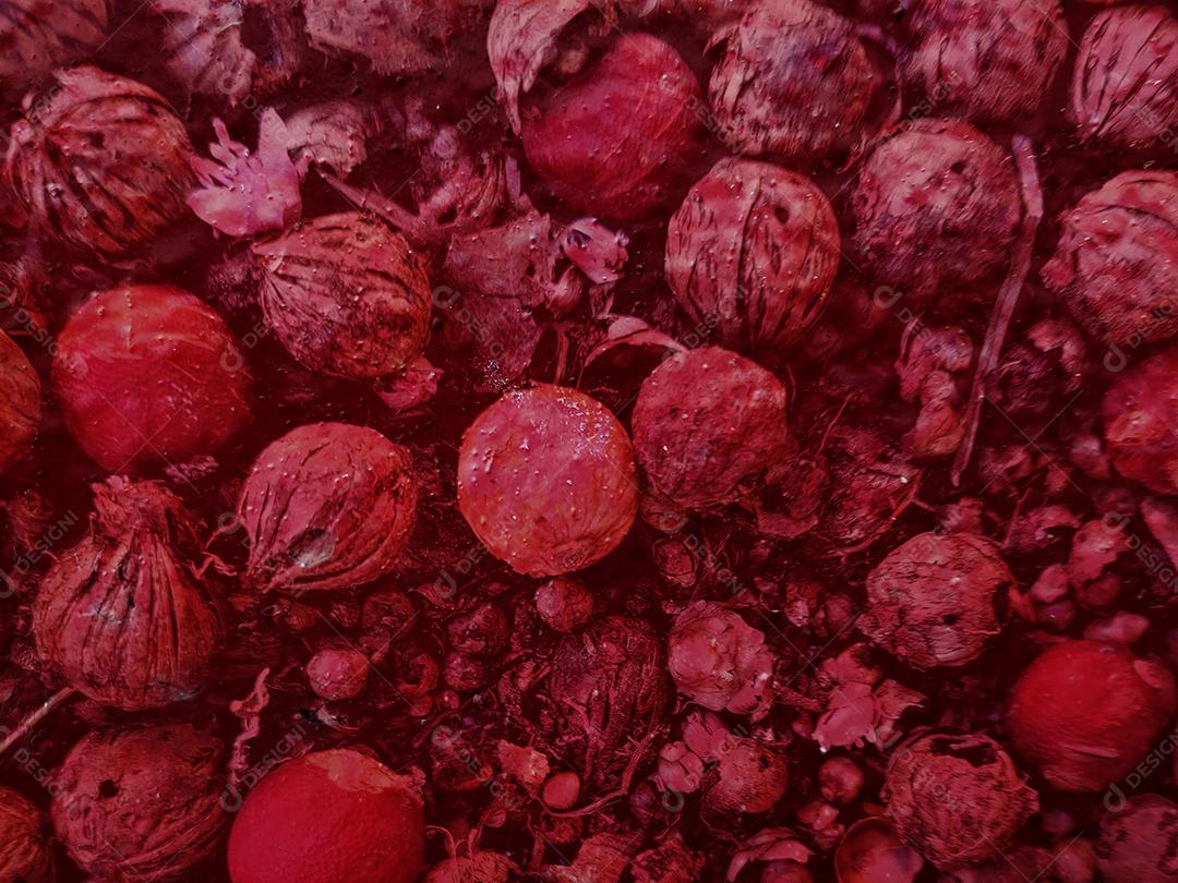 Noz-moscada Especiaria vermelha