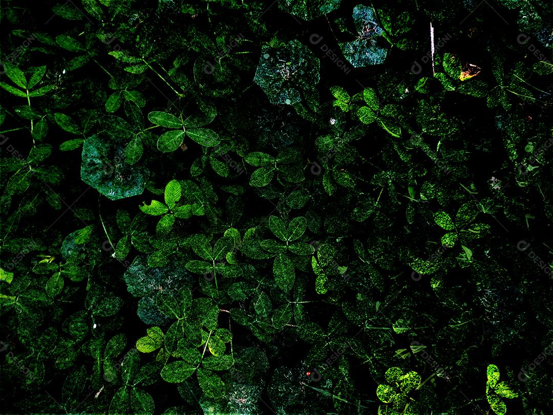 Flores plantas sobre fundo desfocado