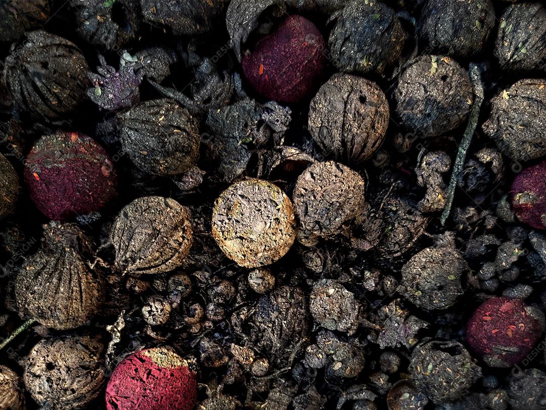 Noz-moscada Especiaria vermelha