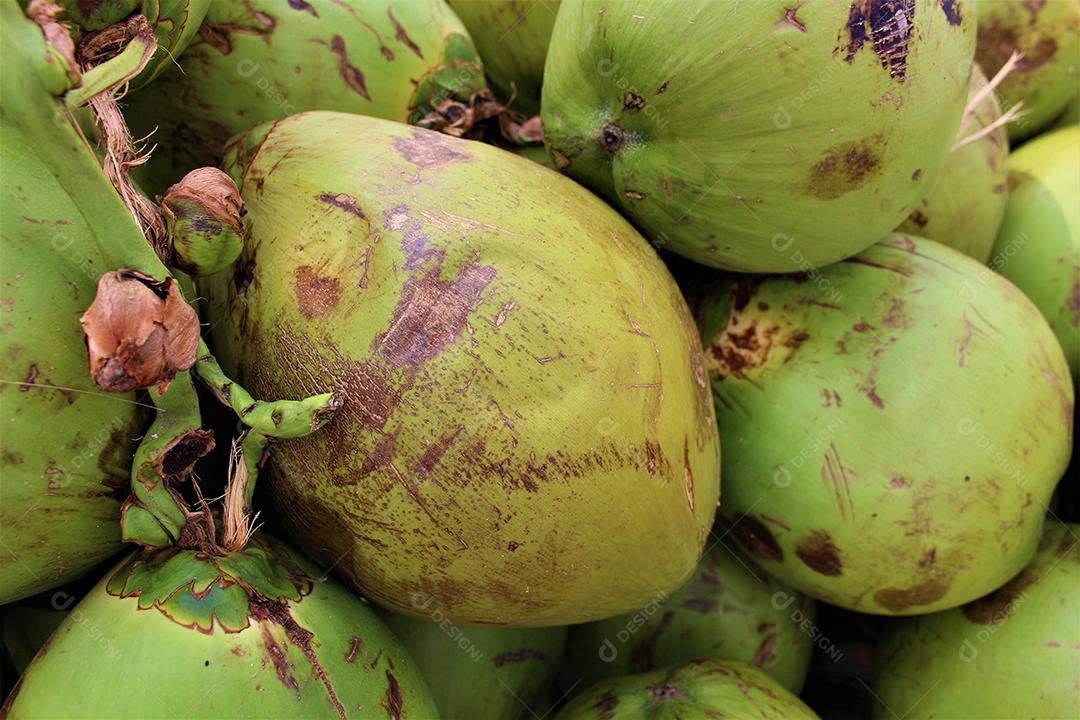 Frutas enpilhados feirante vendendo Cocos comida